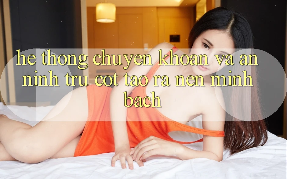 Hệ Thống Chuyển khoản Và An ninh: Trụ Cột Tạo ra Nên Minh bạch