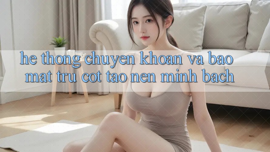 Hệ Thống Chuyển khoản Và Bảo mật: Trụ Cột Tạo Nên Minh bạch
