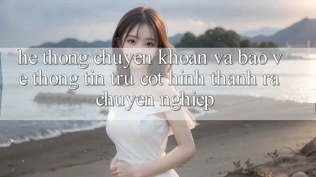 Hệ Thống Chuyển khoản Và Bảo vệ thông tin: Trụ Cột Hình thành ra Chuyên nghiệp