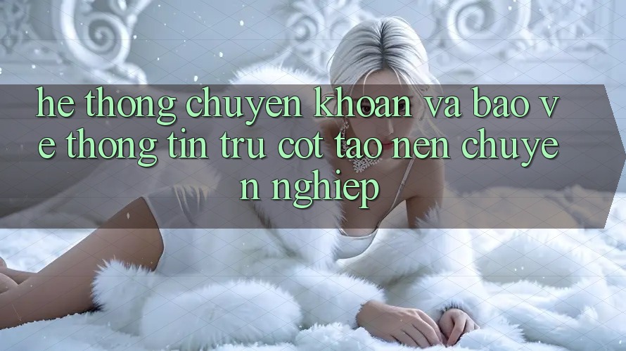 Hệ Thống Chuyển khoản Và Bảo vệ thông tin: Trụ Cột Tạo Nên Chuyên nghiệp