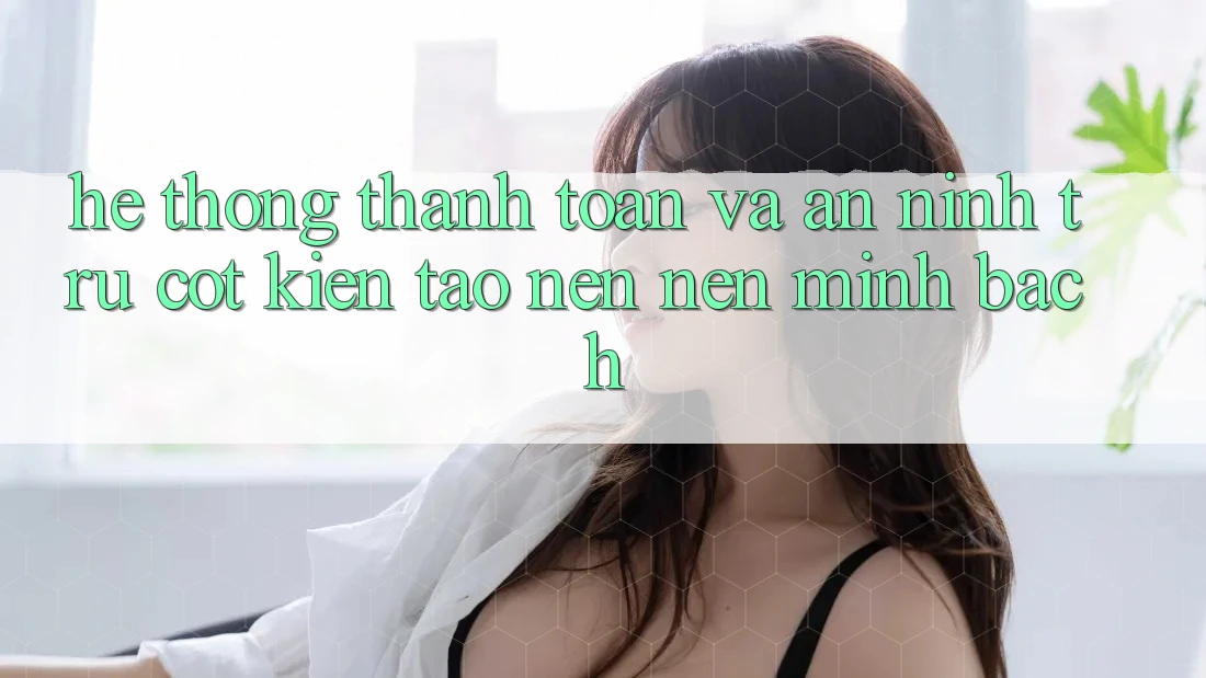 Hệ Thống Thanh toán Và An ninh: Trụ Cột Kiến tạo nên Nên Minh bạch