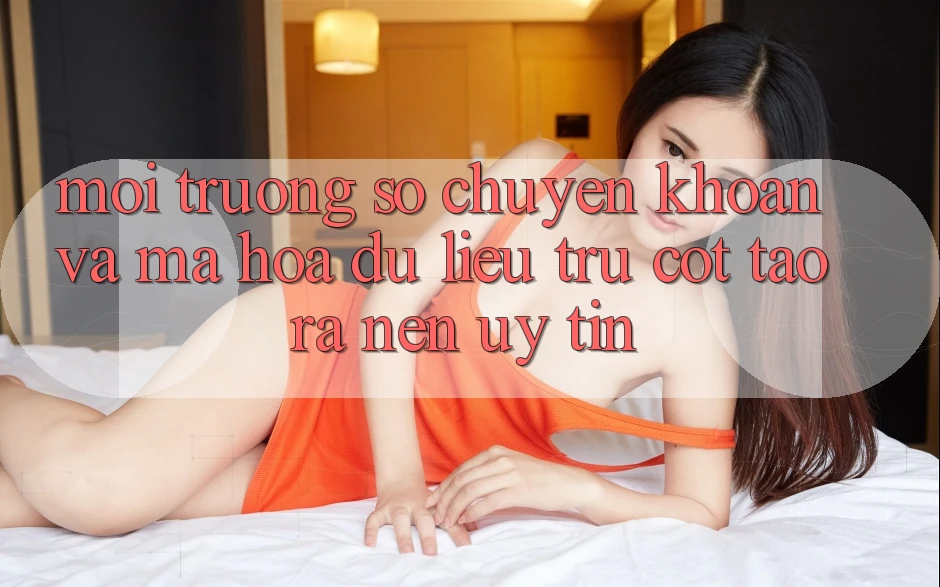 Môi trường số Chuyển khoản Và Mã hóa dữ liệu: Trụ Cột Tạo ra Nên Uy Tín