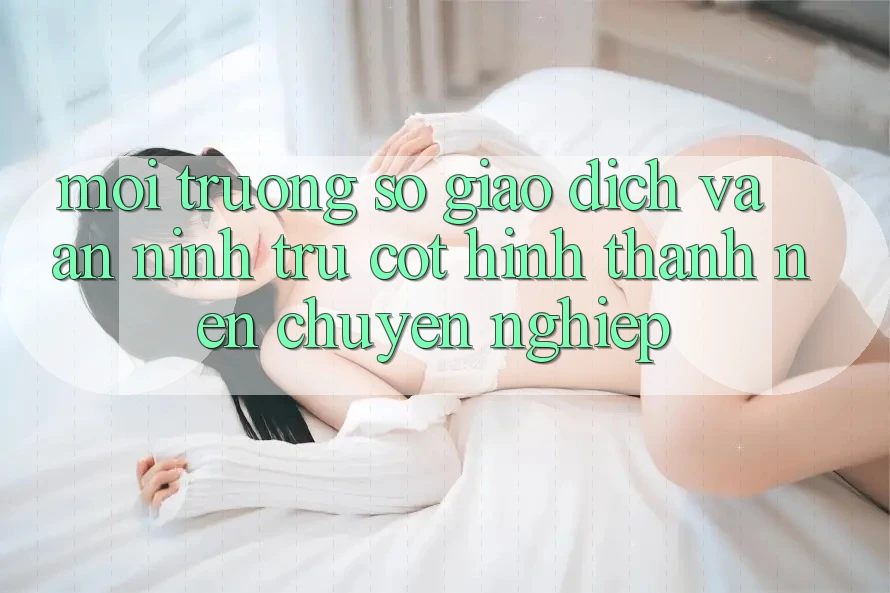 Môi trường số Giao Dịch Và An ninh: Trụ Cột Hình thành Nên Chuyên nghiệp