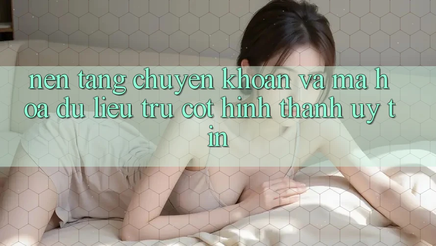 Nền tảng Chuyển khoản Và Mã hóa dữ liệu: Trụ Cột Hình thành Uy Tín