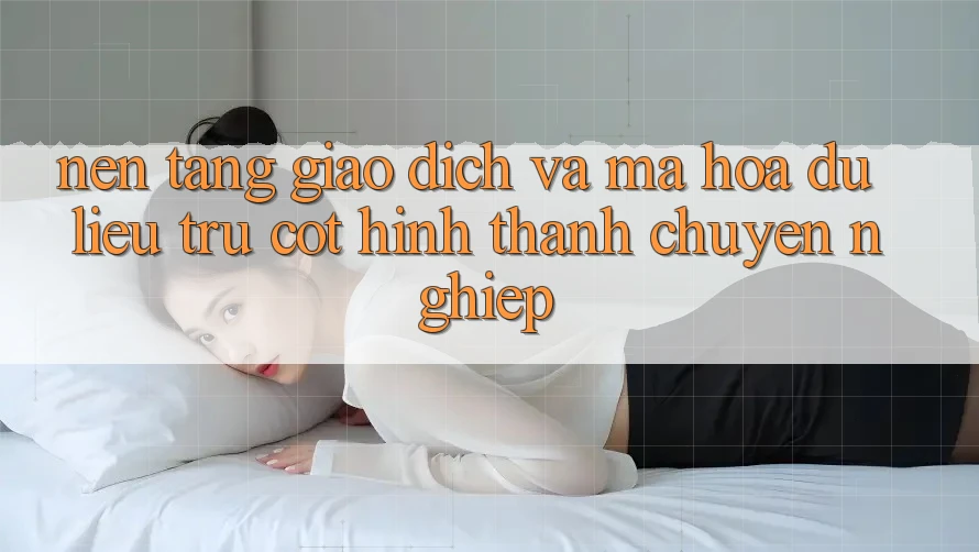 Nền tảng Giao Dịch Và Mã hóa dữ liệu: Trụ Cột Hình thành Chuyên nghiệp