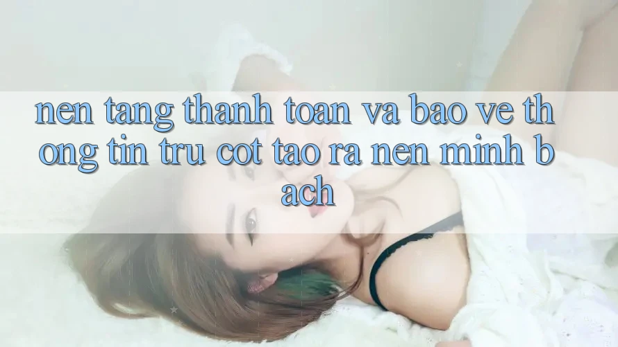 Nền tảng Thanh toán Và Bảo vệ thông tin: Trụ Cột Tạo ra Nên Minh bạch